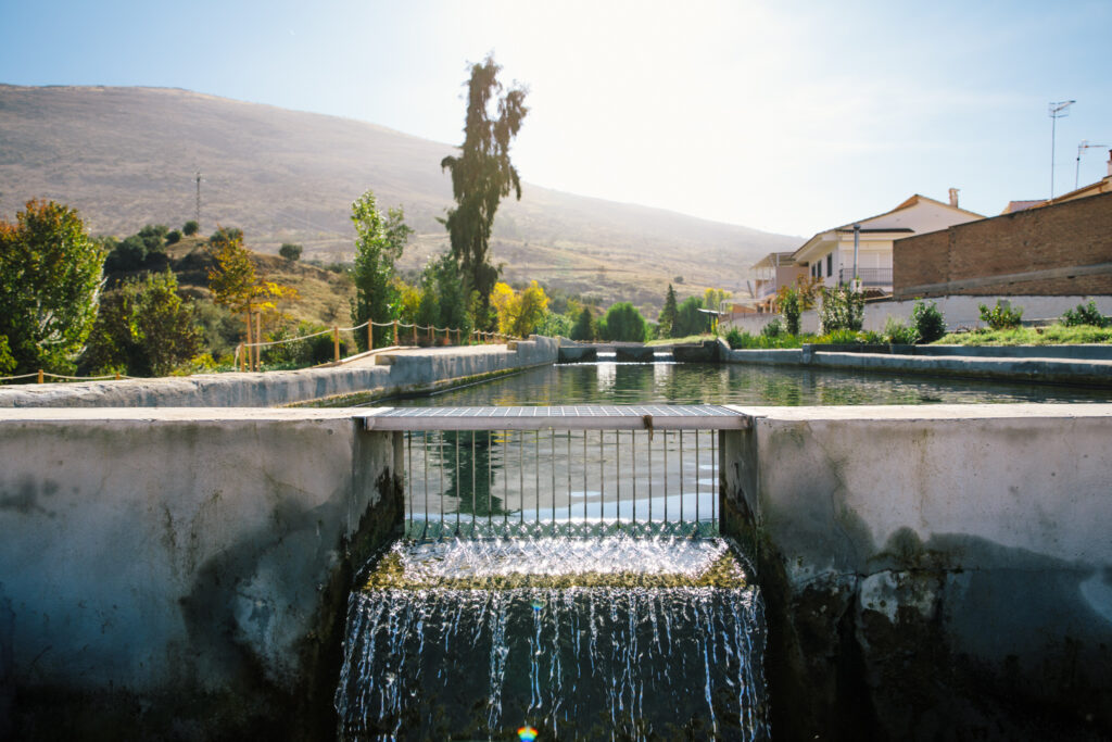 Restaurant Vinkeles, part of The Dylan Amsterdam, part of Leading Hotels of the World, visits the Riof'rio farm in Andalusia